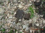DSCN4087.JPG