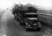 26141_Autocolonna mimetizzata in marcia oltre il confine russo nell'estate 1941.jpg