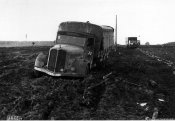27202_Autoveicoli militari impantanati sulla rotabile Oligopol-Balta in Ucraina nell'estate 1941.jpg