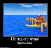 images.jpeg