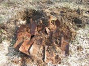 Изображение 386.jpg