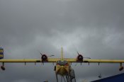 DSC02500.jpg