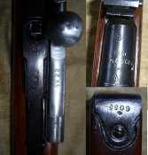 PIC_0004.jpg
