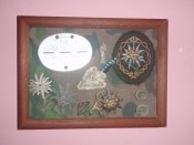 КОЛЛАЖ ПО ЕГЕРЯМ.jpg