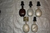 DSC07563.JPG