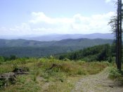 DSC06684.JPG