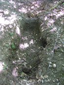 DSC06676.JPG