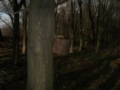 100_3172.JPG