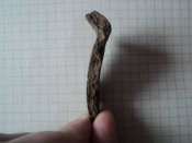 DSC03100.JPG