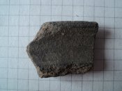 DSC03112.JPG