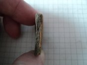 DSC03118.JPG