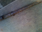 IMG_0228.jpg