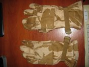 IMG_2767[1].jpg