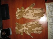 IMG_2769[1].jpg