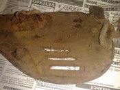 22042010025.jpg