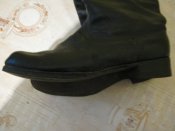 IMG_5343.JPG