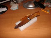 DSC08687.JPG