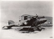 ALBATROS.JPG