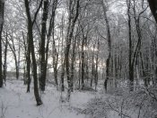 IMG_0063.jpg