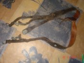 DSC07896.JPG