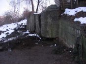 IMG_6002.jpg