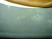 DSC07873.JPG