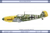 Messerschmitt Bf 109 (14).jpg