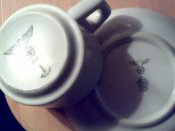 23042010789.jpg