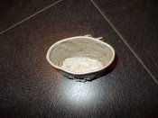 DSCN4356.JPG