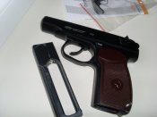 SL375272.JPG