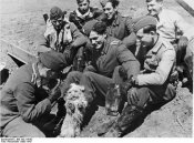 gunther Rall with his comrades luftwaffe aces dog unit mascot jg 52.jpg