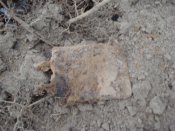 DSC08105.JPG