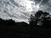 IMG_3105.jpg