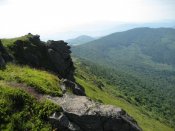 IMG_3109.jpg