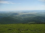 IMG_3127.jpg