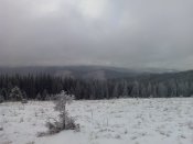 IMG_20141227_111620.jpg