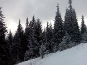 IMG_20141227_143535.jpg