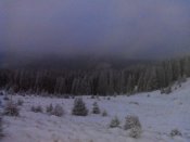 IMG_20141228_074336.jpg