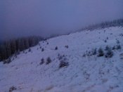IMG_20141228_074348.jpg