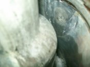 100_3448.JPG