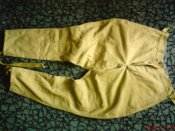 DSC00373.jpg