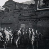 6 пивзавод мира седина.jpg