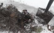 20141229_125521.jpg
