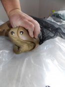 DSCN7326.JPG