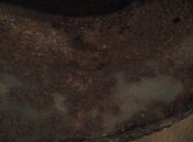 IMG_20141231_211735.jpg
