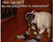getImage (6).jpg