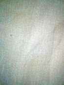 DSC00150.jpg
