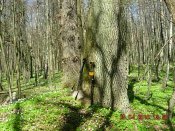 DSCN4099.JPG