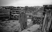 Narvik Norwegen Ostfront 30.jpg