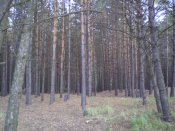 PA030033.JPG